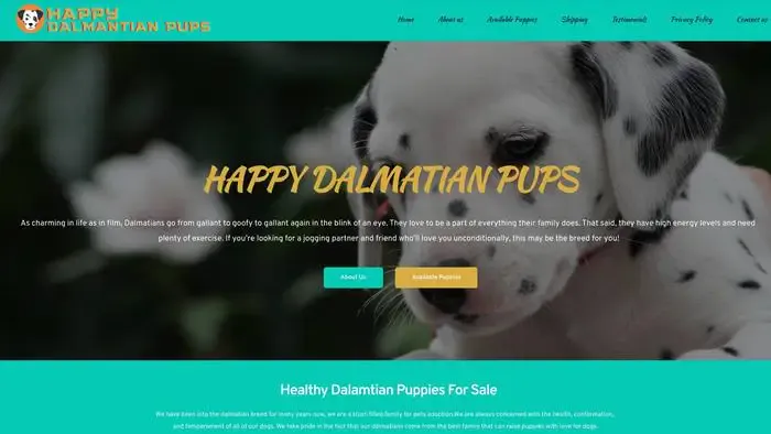 Screenshot of