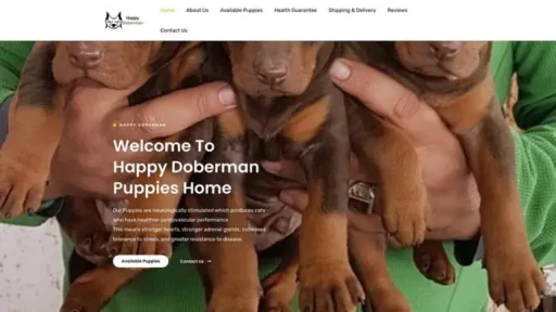 Screenshot of|
