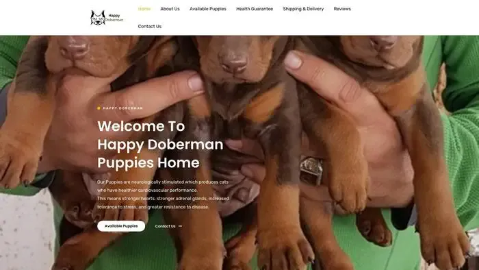 Screenshot of|
