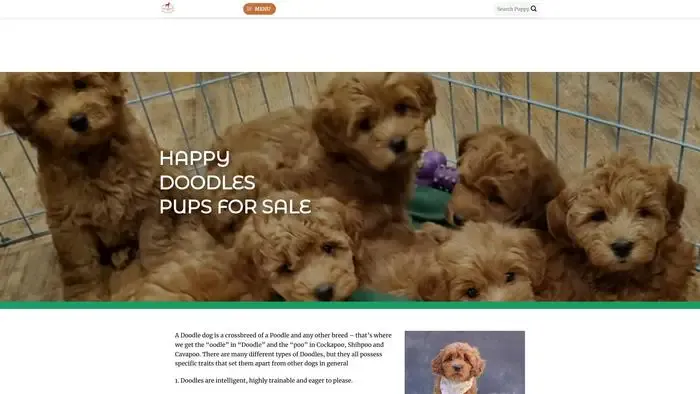 Screenshot of