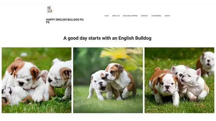 Screenshot of