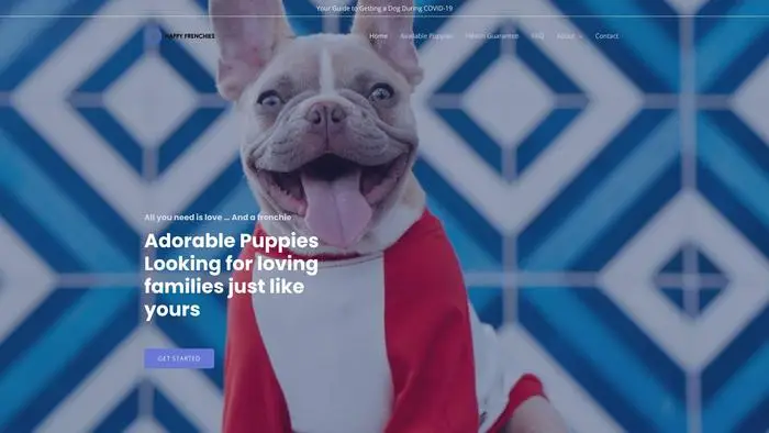Screenshot of