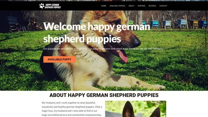 Screenshot of