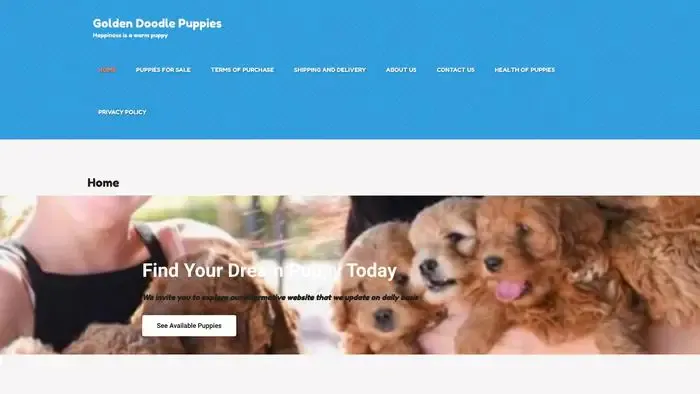 Screenshot of