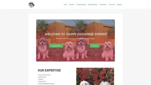 Screenshot of