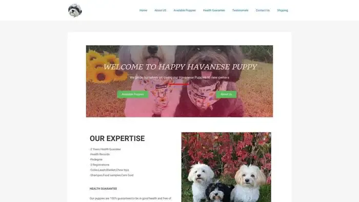 Screenshot of