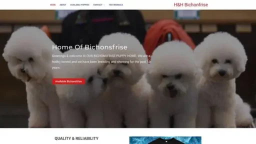 Screenshot of