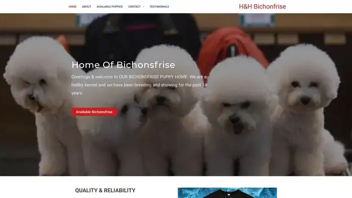 Screenshot of