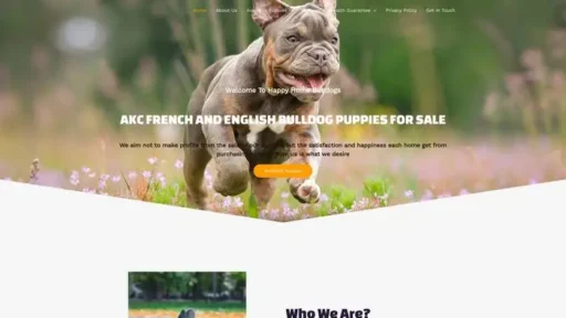 Screenshot of