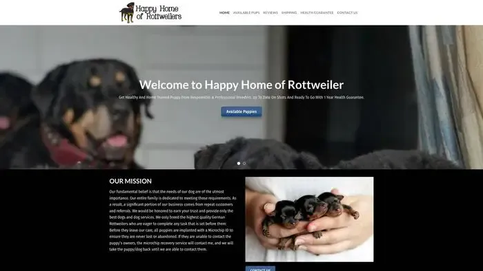 Screenshot of