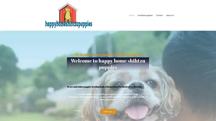 Screenshot of