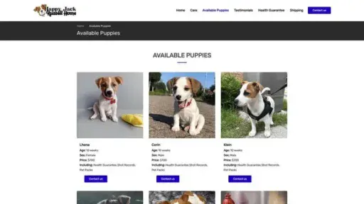 Screenshot of
