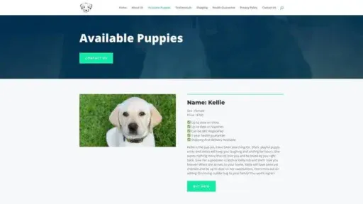 Screenshot of