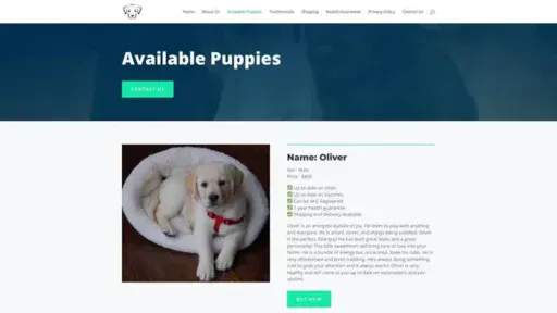 Screenshot of