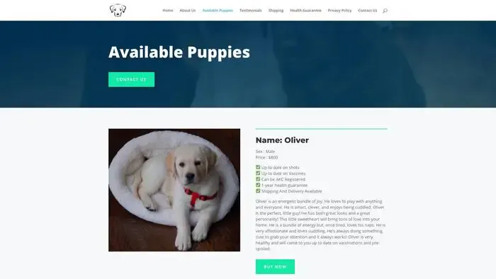Screenshot of