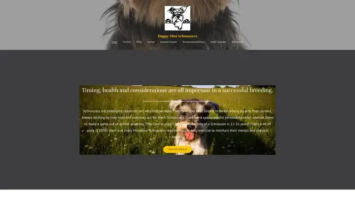 Screenshot of