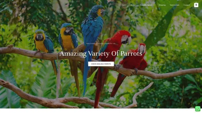 Screenshot of