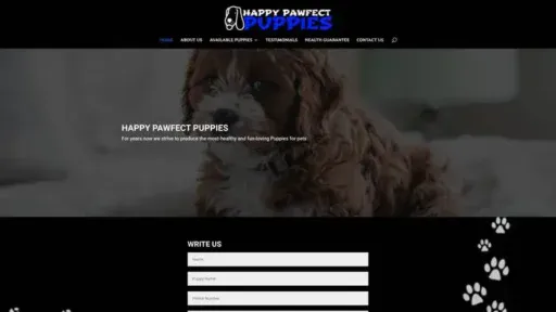 Screenshot of