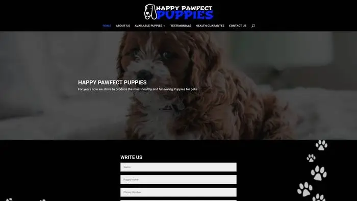 Screenshot of