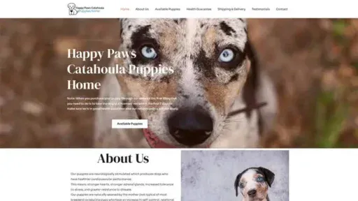 Screenshot of