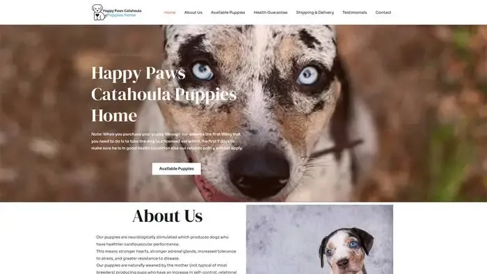Screenshot of