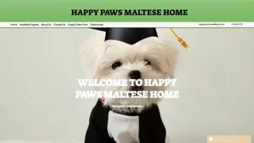 Screenshot of