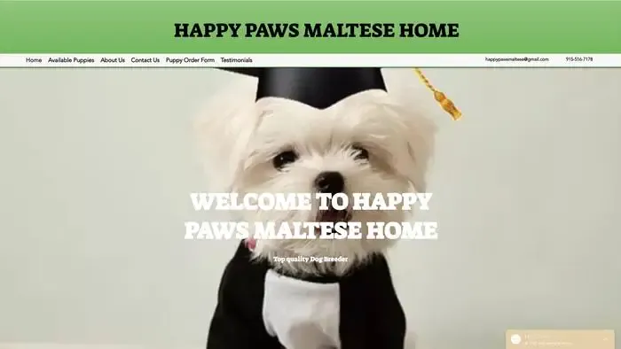 Screenshot of