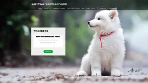 Screenshot of
