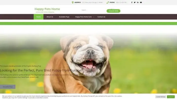 Screenshot of