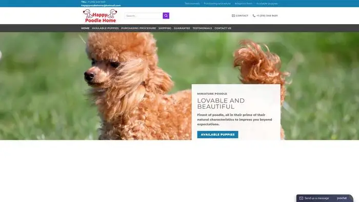 Screenshot of