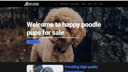 Screenshot of