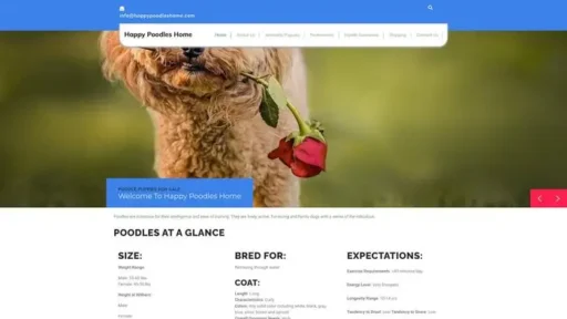 Screenshot of