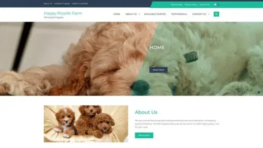 Screenshot of