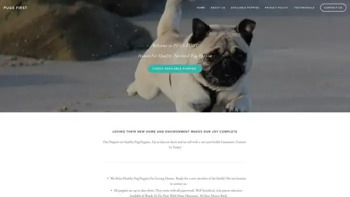 Screenshot of