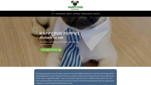 Screenshot of