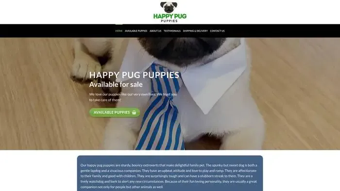 Screenshot of
