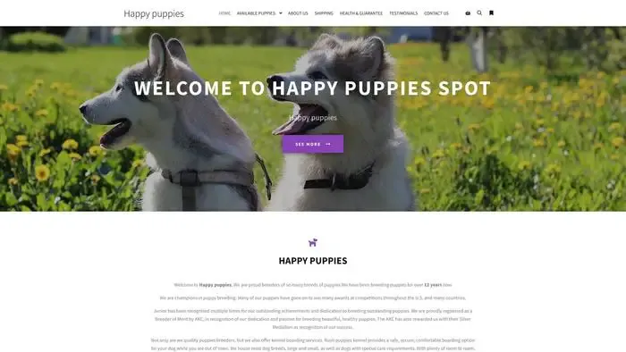 Screenshot of