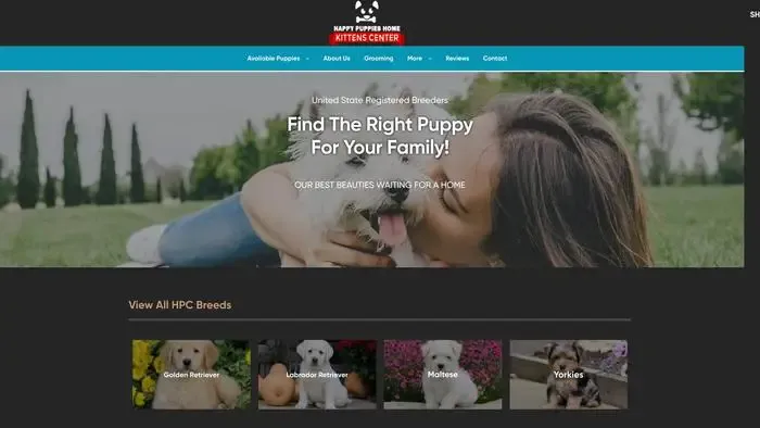 Screenshot of