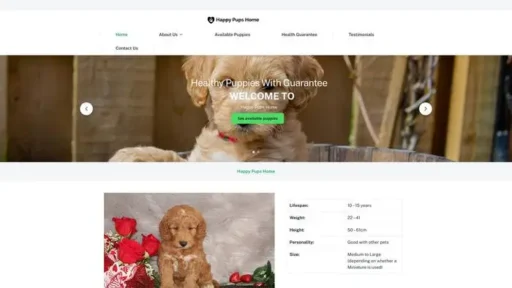 Screenshot of