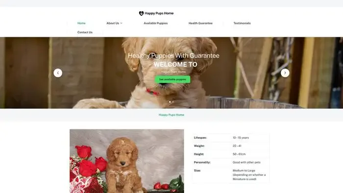 Screenshot of