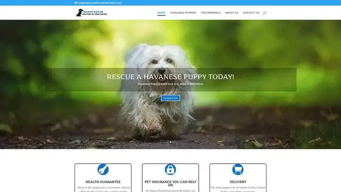 Screenshot of