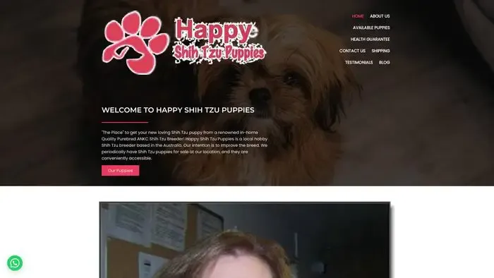 Screenshot of