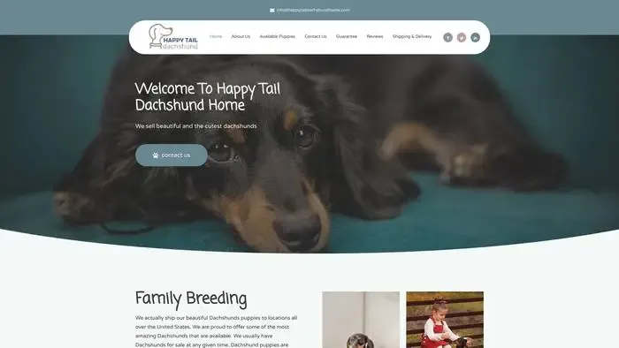 Screenshot of
