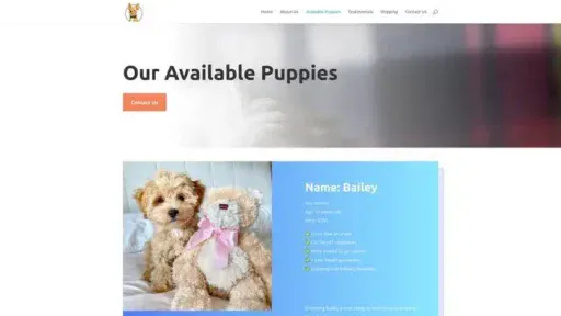 Screenshot of