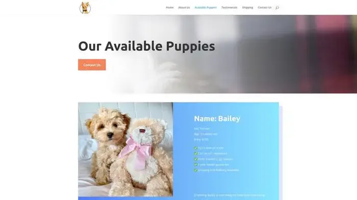 Screenshot of