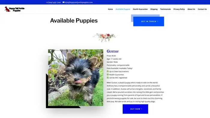 Screenshot of