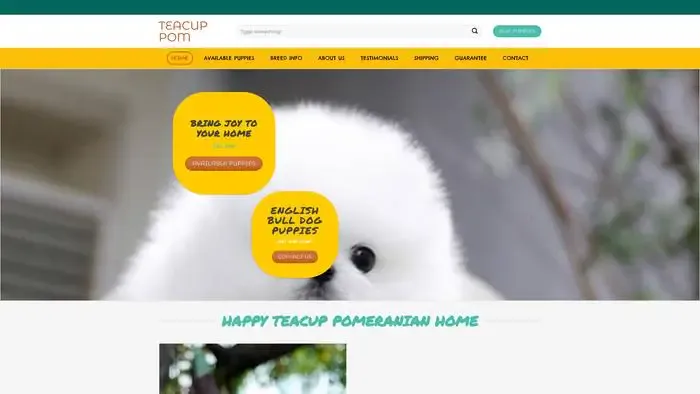 Screenshot of