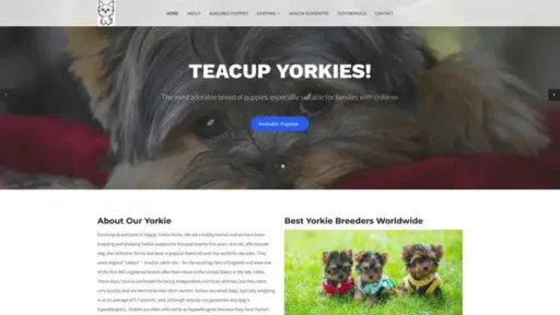 Screenshot of
