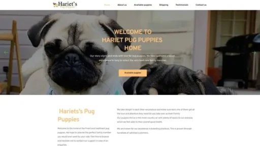 Screenshot of