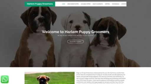 Screenshot of
